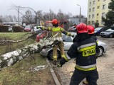 Orkan Nadia dał o sobie znać w Bytomiu. Strażacy mieli pełne ręce roboty 