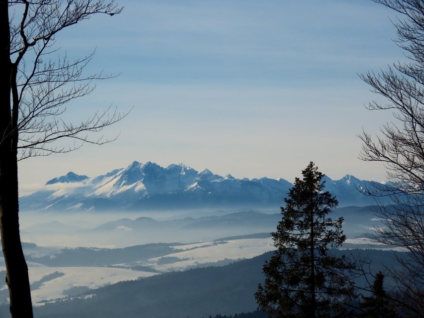 Tatry widziane z Pustej Wielkiej