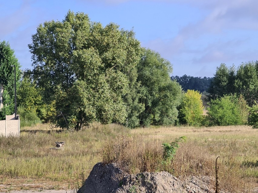 Sprzedane przez miasto tereny przy ulicach Równinnej i...