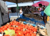 Spadają ceny krotoszyńskich nowalijek i młodych warzyw [ZDJĘCIA]