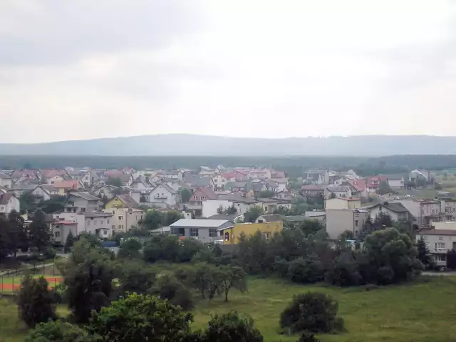 Widok na górę Altanę (Garb Gielniowski) z ratusza