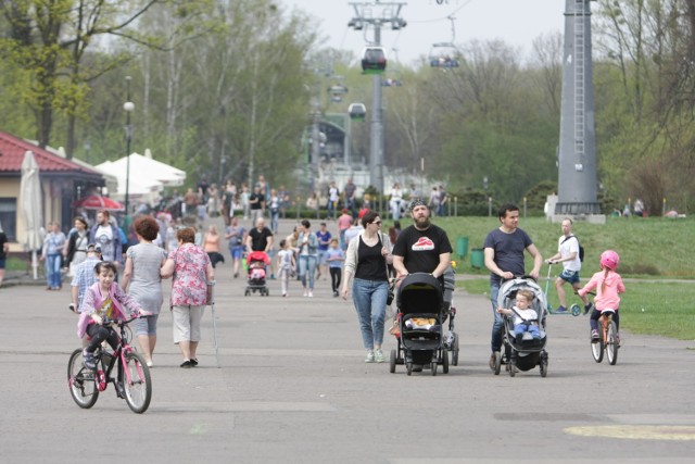 Niedziela w Parku Śląskim: tłumy spacerowiczów i rowerzystów ZDJĘCIA