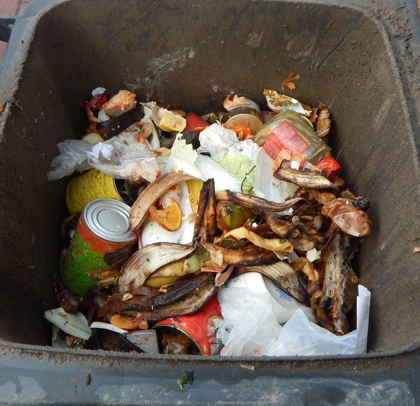 Prowadzone od kilku miesięcy kontrole na posesjach w gminie Działoszyn ujawniły skalę nieprawidłowej segregacji odpadów