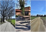 Powstało 7 km nowych, malowniczych ścieżek rowerowych w gminie Gaworzyce. Są też miejsca do wypoczynku