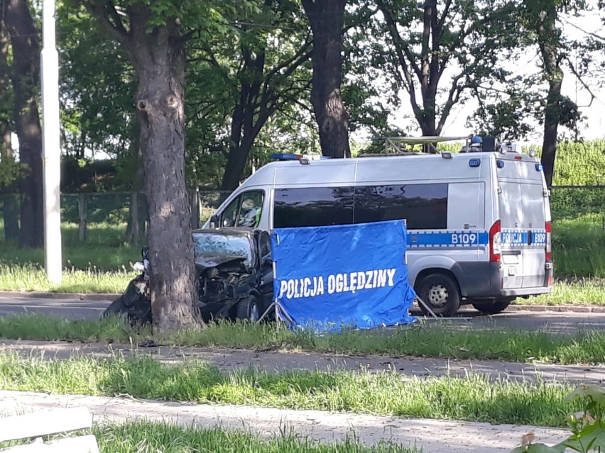 Śmiertelny wypadek na Sępolnie. Samochód uderzył w drzewo, kierowca nie żyje [ZDJĘCIA]