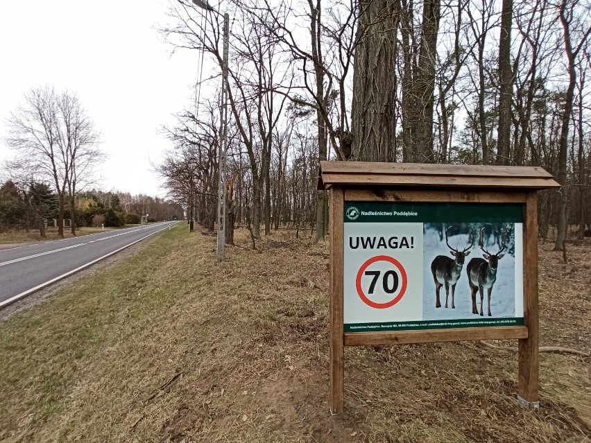 Nowe tablice ostrzegawcze ustawione przez Nadleśnictwo Poddębice. Informują o dzikich zwierzętach na drodze i ograniczeniu prędkości ZDJĘCIA