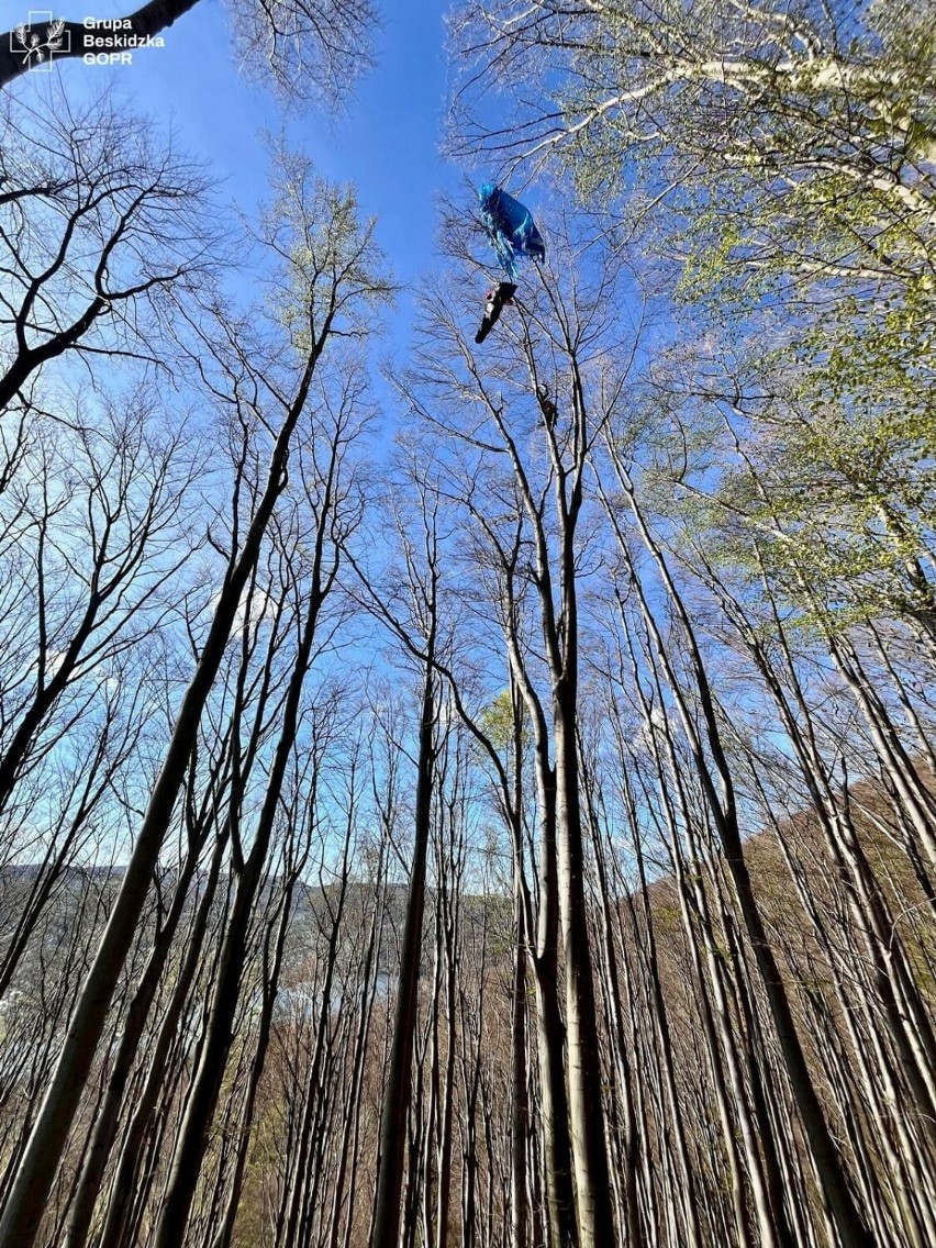Paralotniarka utknęła na drzewie