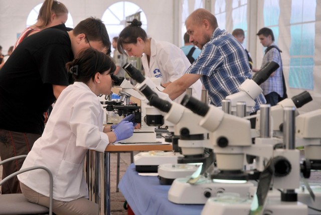 Młodzi chemicy mają także okazję do poznania tajników wiedzy na Bałtyckim Festiwalu Nauki.