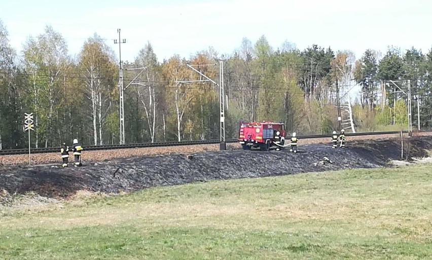 Pożary traw wzdłuż linii kolejowej na trasie Kamionki-Czystochleb. W akcji kilkudziesięciu strażaków [zdjęcia]