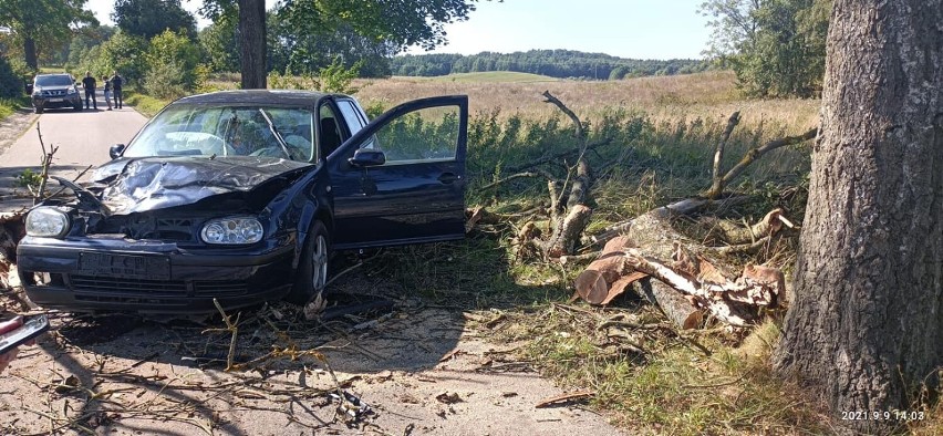 Drzewo spadło na samochód w gminie Rzeczenica