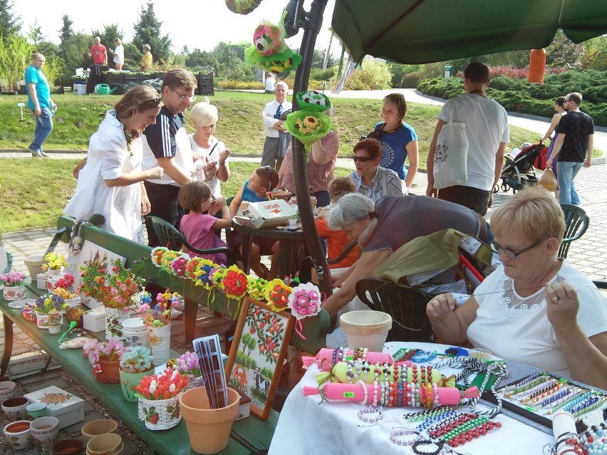 Ogród Botaniczny w Poznaniu: Festyn na Urodziny Botaniku