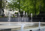 Fontanna na Krzywdzie w Piotrkowie już działa.  Lada dzień zostanie też włączona fontanna w ogrodzie botanicznym