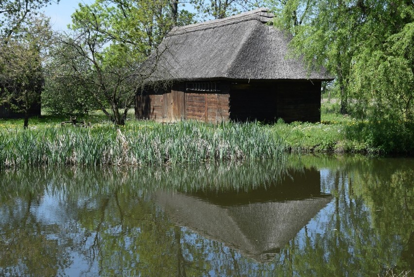 Dworek w Russowie zaprasza na czytanie Miłosza w ramach...