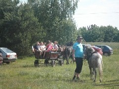 Festyn w Woli Dąbrowieckiej [ZDJĘCIA]