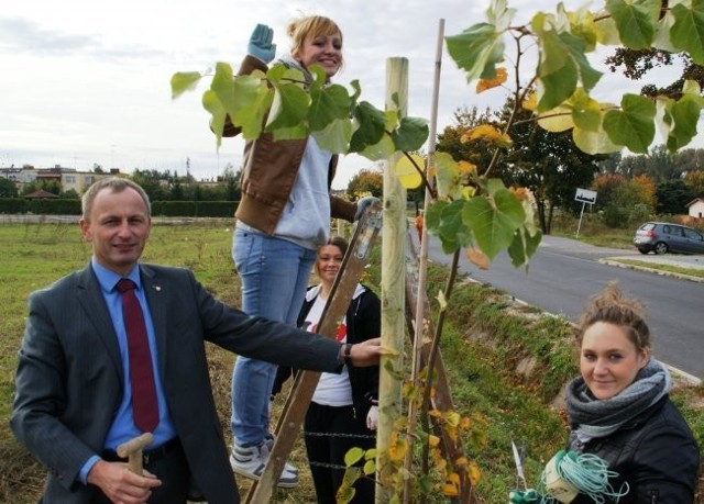 Wice starosta szamotulski, Józef Kwaśniewicz również wziął udział w akcji sadzenia drzew