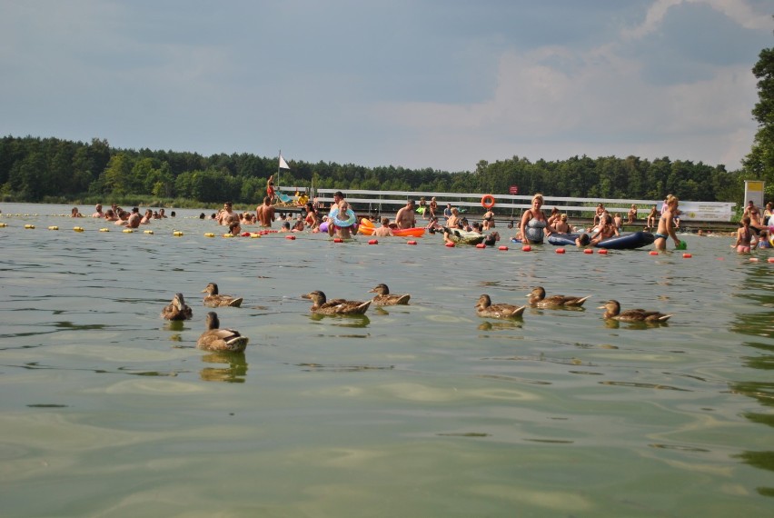 Kąpielisko w Karpicku