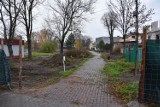 Przebudowa parku przy ul. Kościuszki i Sienkiewicza w Żninie [zdjęcia]