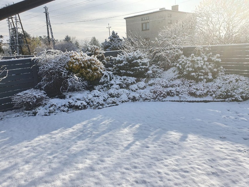 Pierwszy śnieg żorzanie uwiecznili na zdjęciach.