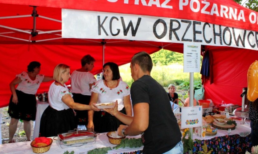 X Międzynarodowy Festiwal Derenia w Arboretum w...