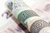 500 plus i 13. emerytura zawieszone przez koronawirusa? „Niezbędne”, by ochronić Polskę przed kryzysem gospodarczym