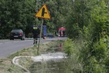 We Wrocławiu stan alarmowy, bez zagrożenia powodzią. W Żernikach Wrocławskich zalane domy (ZDJĘCIA)