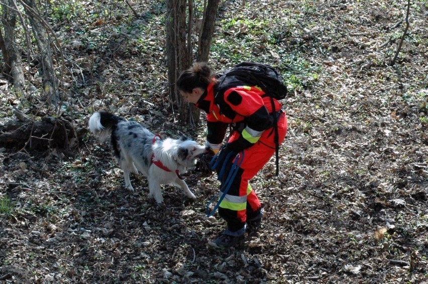 Siechnice: Z psami szukają zaginionych
