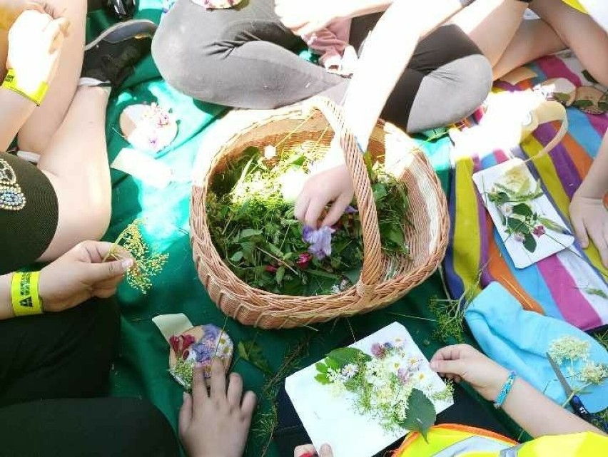 Wiosenne przebudzenie nad Zalewem Zemborzyckim! Grupa Naturalnie do Lasu zaprasza na Shinrin yoku dla rodzin