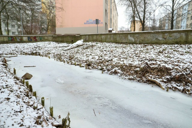 Ostatnie mrozy przyniosły prawdziwy zimowy krajobraz nad toruńską Strugą. Prawdopodobnie to jednak ostatnie dni takich widoków w mieście. W najbliższym czasie czeka nas delikatne ocieplenie.