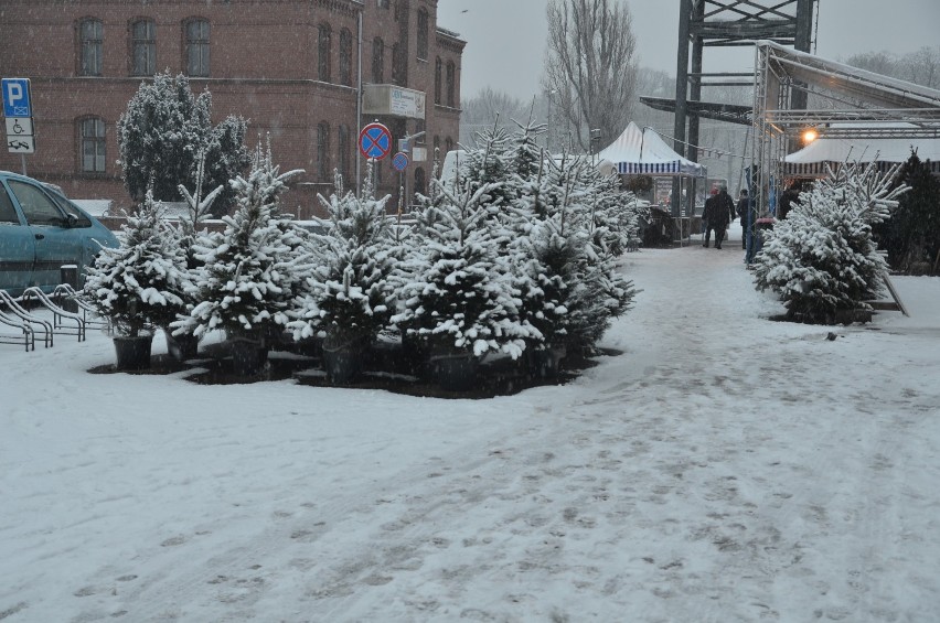 Gniezno pod białym puchem. Zima w mieście w naszym obiektywie [FOTO]