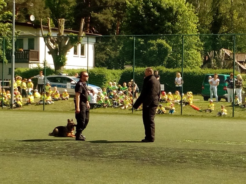 Policyjne psy - ich umiejętności i siłę mogły zobaczyć przedszkolaki z Lubasza [ZDJĘCIA]