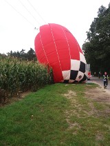 Balon zawisł na linii energetycznej FOTO