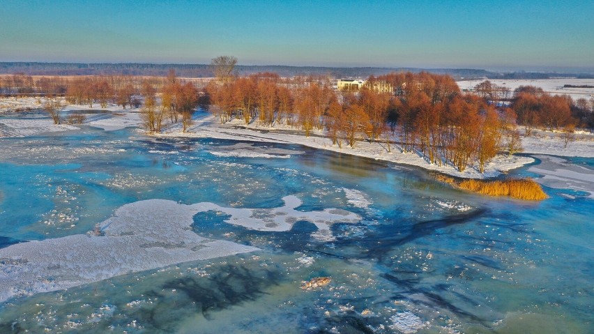Zima 2024. Zdjęcia śródlądowej delty rzeki Nidy wykonane z...