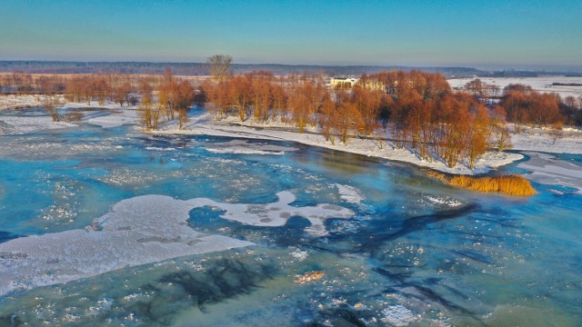 Zima 2024. Zdjęcia śródlądowej delty rzeki Nidy wykonane z drona. Archiwum Świętokrzyskich i Nadnidziańskich Parków Krajobrazowych.