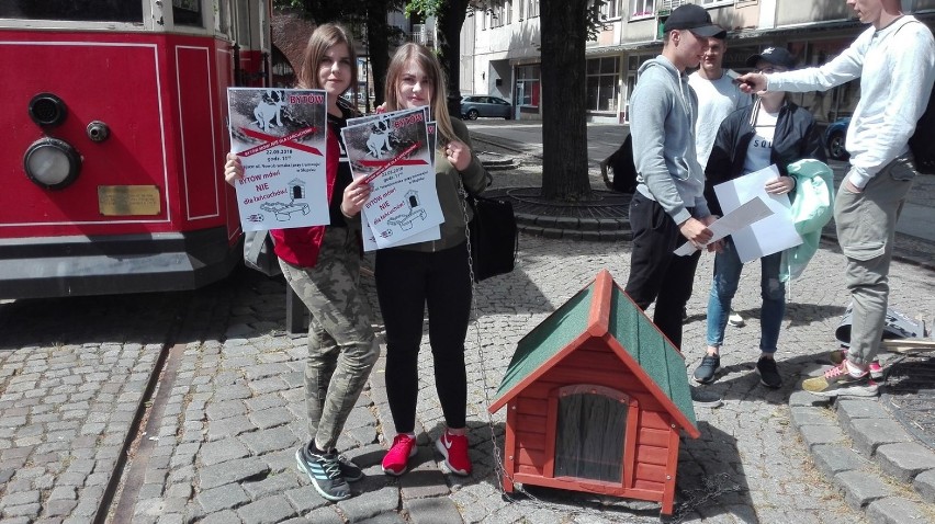 Bytów/Słupsk. Młodzież protestowała przeciwko trzymaniu psów na łańcuchach