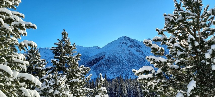 Tatry. Zimowa Hala Gąsienicowa w styczniowym słońcu. Wycieczka w góry dla piechurów i narciarzy. Wspaniałe widoki [ZDJĘCIA]
