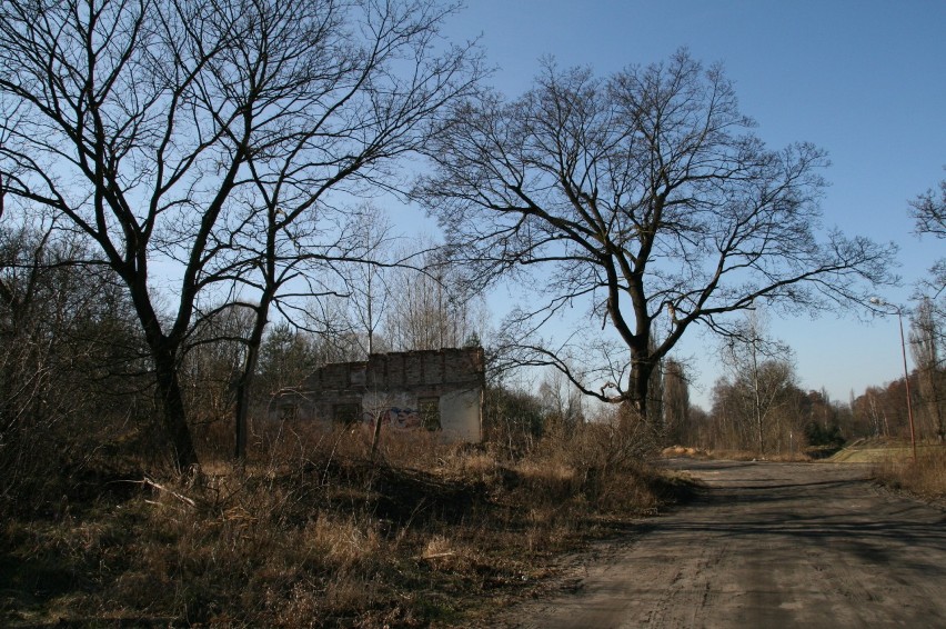 Fragment ulicy Źródlanej dokładnie dwa lata temu