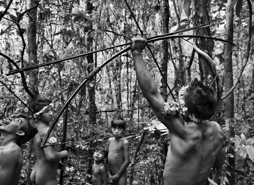 Członkowie brazylijskiego plemienia Awá-Guajá wciąż żyją w...