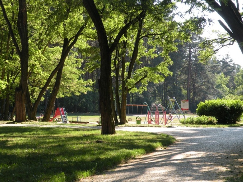 Park Leśny „Strzelnica" zmieni się w muzeum historyczne