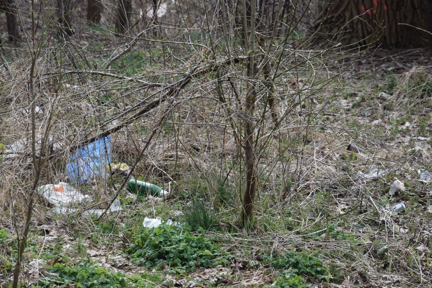 Ulica Polna Szczecinek. Takiego bałaganu nie widzieliście [zdjęcia]