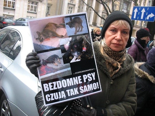 Na 13 i 14 stycznia zaplanowano protesty w wielu europejskich miastach. Przeciwnicy utylizacji zwierząt przed EURO 2012 zorganizowali się w Mediolanie, Rzymie, Neapolu, Florencji, Zurychu i Berlinie.