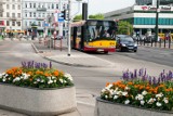 Nowy rozkład jazdy metra, wycofane tramwaje i autobusy. Wchodzą wakacyjne zmiany 