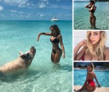 Polska królowa Instagrama na świńskiej wyspie ZDJĘCIA