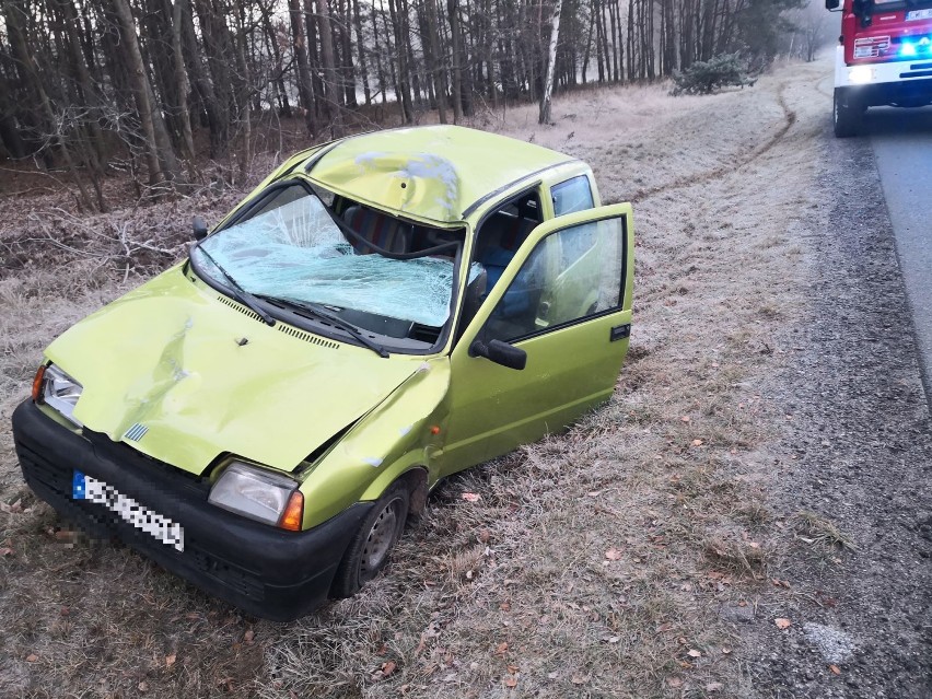 Wypadek na drodze Włocławek - Kowal. Zderzenie fiata z łosiem [zdjęcia]