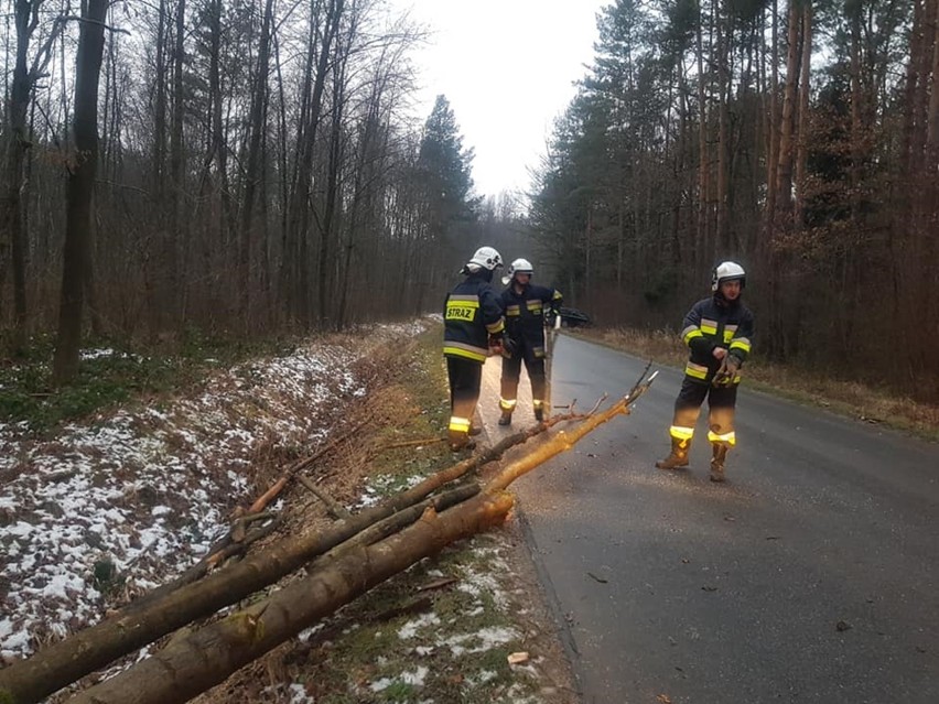 Po godz. 7 strażacy z OSP Dębowiec usuwali drzewo powalone na drodze powiatowej Dębowiec - Folusz w miejscowości Cieklin.