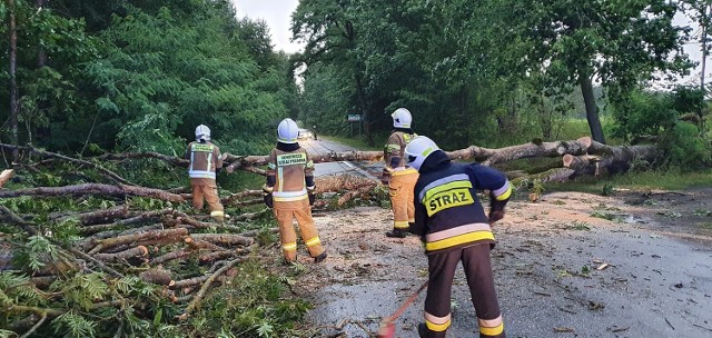 Po kolejnych burzach strażacy wzywani byli najczęściej do usuwania konarów oraz powalonych drzew
