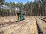 Nadleśnictwo Grodzisk posadzi w tym roku ponad 1 milion 100 tysięcy sadzonek