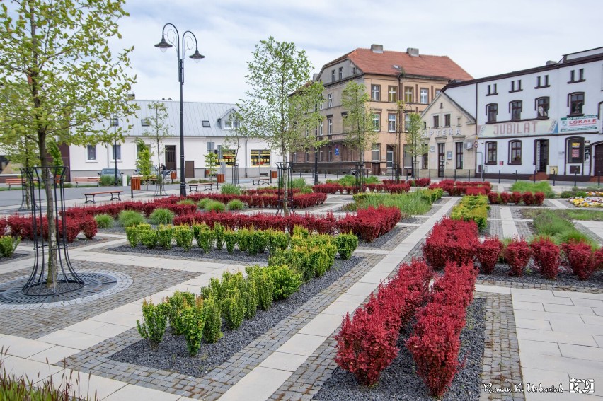 Pleszew. W centrum Pleszewa zrobiło się kolorowo!      