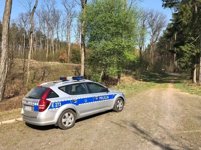Ciało mężczyzny zostało znalezione przez przypadkowego przechodnia w niedzielę, 7 kwietnia. Na miejsce makabrycznego odkrycie została wezwana zielonogórska policja.

Ciało zostało znalezione w lesie od strony ul. Łużyckiej, na Wzgórzach Piastowskich na wysokości skrzyżowania z ul. Ceramiczną. Makabrycznego odkrycia dokonał przypadkowy przechodzień. Na miejsce została wezwana zielonogórska policja.

W lesie leżały zwłoki mężczyzny w znacznym stopniu rozkładu. Przyczyna zgonu ani tożsamość denata nie są znane. – To wszystko będą wyjaśniali policjanci – mówi podinsp. Małgorzata Stanisławska, rzeczniczka zielonogórskiej policji.

Ciało zostało zabezpieczone.

WIDEO: Magazyn Informacyjny "Gazety Lubuskiej": zamaskowana Statua Wolności w Zielonej Górze i wizyta prezydenta Andrzeja Dudy w Gorzowie. Co jeszcze wydarzyło się w regionie?
