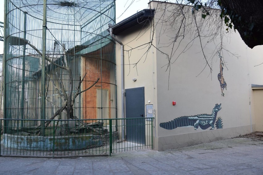 Stare Zoo w Poznaniu będzie miało nową małpiarnię. Kiedy?