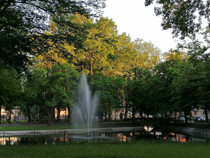 Park znajduje się przed Pałacem Sułkowskich. Jego obszar to...